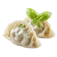 Close up of two dumplings isolated on transparent background png