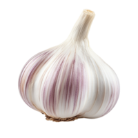Garlic on transparent background png