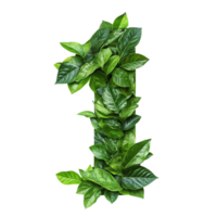Green Leafy Number 1 on transparent background png