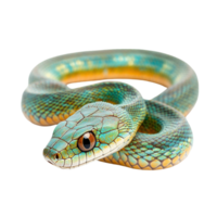 image of an isolated snake on a transparent background png