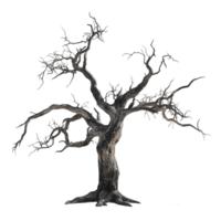 Creepy Dead Tree on transparent background png