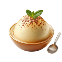 Custard Pudding on transparent background png
