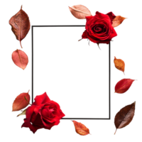 Aesthetic Boho Frame with Red Rose and Dry Leaves Isolated Against transparent background png