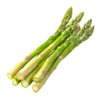 Deep Green Asparagus on transparent background png
