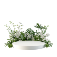 image of a simple clean minimal blank product podium png