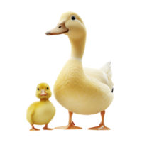Duck with Duckling on transparent background png