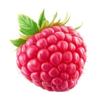 raspberry fruit on a transparent background png