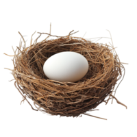 Bird Nest with an Egg on transparent background png