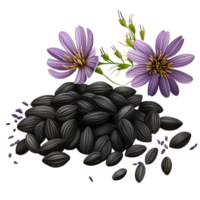 black cumin vector clipart on transparent background png