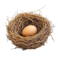 Bird Nest with an Egg on transparent background png