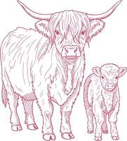 Highland cow and calf front view illustration in hand drawn sketch style, rustic farm animal pair artwork for vintage themes vector