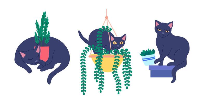 Cartoon Color Characters Cats Potted Plants and Potted Plants Set.