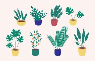 Cartoon Different Types Potted Plants Zamiokulkas and Fern Set. vector
