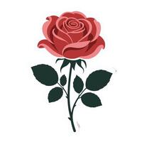 Red rose with green leaves isolated on white background vector