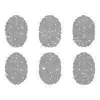 Fingerprint patterns isolated on white background for security access vector