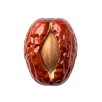 Red Jujube Fruit Seed Open isolated on a transparent background png