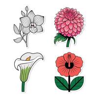 Four different types of flowers isolated on white background vector