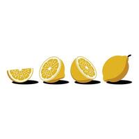Four lemon halves and whole lemons isolated on white background vector
