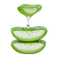 Aloe Vera Cross-Section with Dripping Pulp and Essence for Natural Remedies. Cut Out Isolated on Transparent Background. png