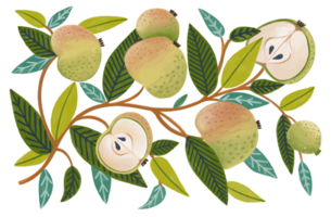 Illustration depicting a pattern of green apples on branches with leaves, showcasing various stages of ripeness. The image emphasizes botanical elements png