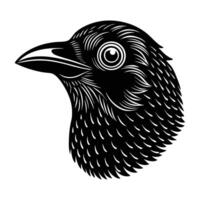 a black and white image of a crow head vector