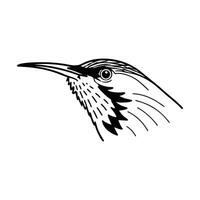a black and white drawing of a bird's head vector