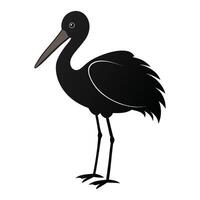 a black bird with long legs standing on a white background vector