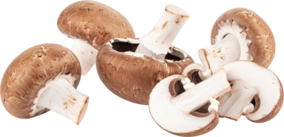 Fresh brown cremini mushrooms whole and neatly sliced fungi displaying caps stems and gills Isolated png