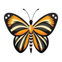 butterfly illustration isolated on white background. vector