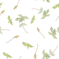 Seamless pattern of honeysuckle branches. Elegant hand-drawn watercolor woodbine illustration on white background. Abstract pattern for printing on fabric, clothes, wallpapers, wrap paper package, etc png