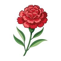 red carnation flower illustration isolated on white background vector