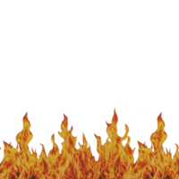 Row of vibrant, realistic flames rises against transparency background, creating dramatic and intense visual effect. fiery display captures dynamic movement and vivid colors of blazing fire png