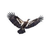 Majestic vulture soars gracefully in sky, its wings fully extended, showcasing intricate patterns of its feathers. bird powerful presence is testament to its strength and elegance png