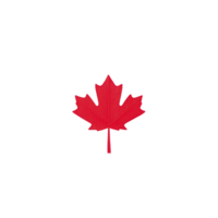 Vibrant red maple leaf isolated on transparency background, symbolizing Canada and autumn. leaf distinct shape and color evoke sense of national pride and seasonal change png