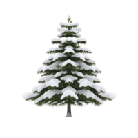 Snow covered evergreen tree stands against plain background, showcasing its lush green branches layered with white snow. serene winter scene evokes sense of calm and tranquility png