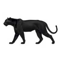 Sleek black panther is depicted in side profile, showcasing its graceful and powerful form. panther dark fur contrasts with its piercing eyes, exuding sense of mystery and strength png