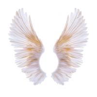 White angel wings with soft, delicate feathers spread open against transparent background, symbolizing purity and freedom. wings have gentle gradient from white to light brown png
