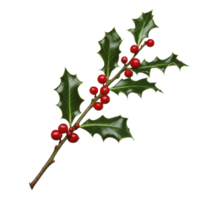 Sprig of holly with glossy green leaves and bright red berries, often associated with festive decorations and winter celebrations, is depicted in this image png