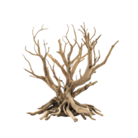 Gnarled, leafless tree with twisted branches and exposed roots creates striking silhouette against plain background, evoking sense of mystery and resilience png