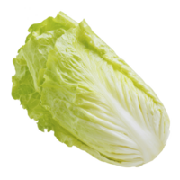 Fresh napa cabbage with crisp, light green leaves, perfect for salads and stir fries. Its texture and mild flavor make it versatile ingredient in various dishes png