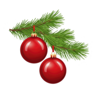 Two red Christmas ornaments hang from green pine branch, creating festive and cheerful holiday decoration png