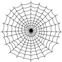 Detailed spider web with intricate patterns and symmetrical design, showcasing delicate and complex structure of nature architecture png