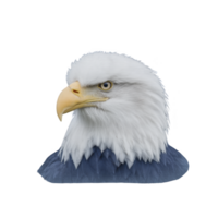 Majestic bald eagle with striking white head and sharp yellow beak is depicted against plain background, showcasing its powerful gaze and iconic features png