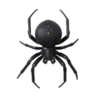 Close up image of black spider with textured body and long legs, isolated on transparency background. spider detailed features are clearly visible, showcasing its natural design png