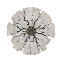 Cross section of tree trunk with visible growth rings and cracks radiating from center, showcasing natural patterns and textures. wood appears aged and weathered, highlighting its organic beauty png