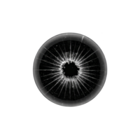 rachado vidro superfície com circular padronizar semelhante a aranha rede, conjunto contra transparência fundo, cria dramático e impressionante visual efeito png