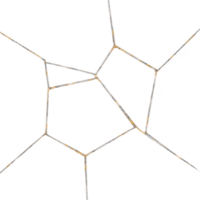 Geometric pattern with irregular polygonal shapes connected by thin lines on transparency background, creating abstract and modern design png