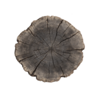 Cross section of tree trunk showing detailed growth rings, highlighting natural texture and patterns of wood. image captures rustic and organic beauty of tree history png
