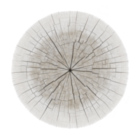 Cross section of tree trunk displays intricate growth rings and natural cracks, showcasing passage of time and beauty of nature patterns png