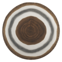 This shows cross section of tree trunk with visible growth rings, showcasing natural texture and pattern of wood. concentric circles vary color from dark brown to lighter shades, indicating png